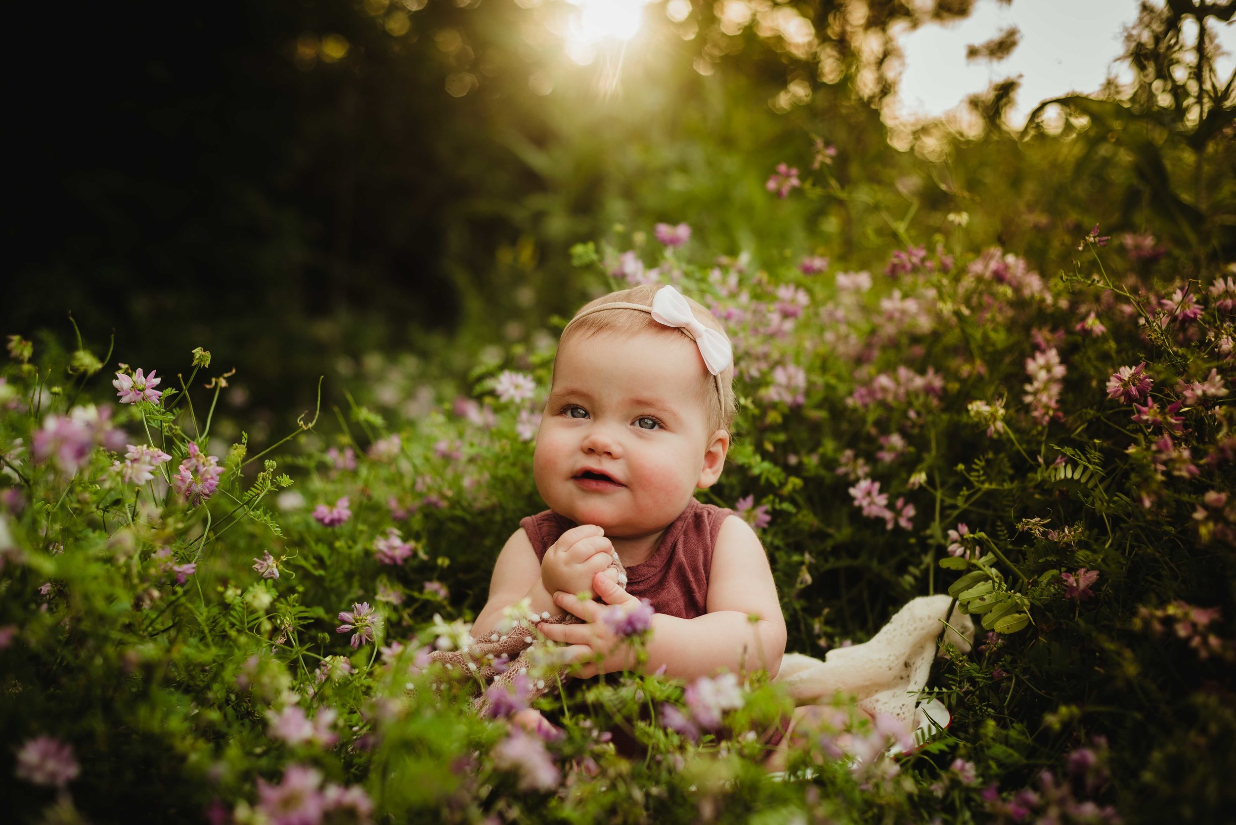 A Summer Wildflower Field Family/Baby Session in West Lafayette