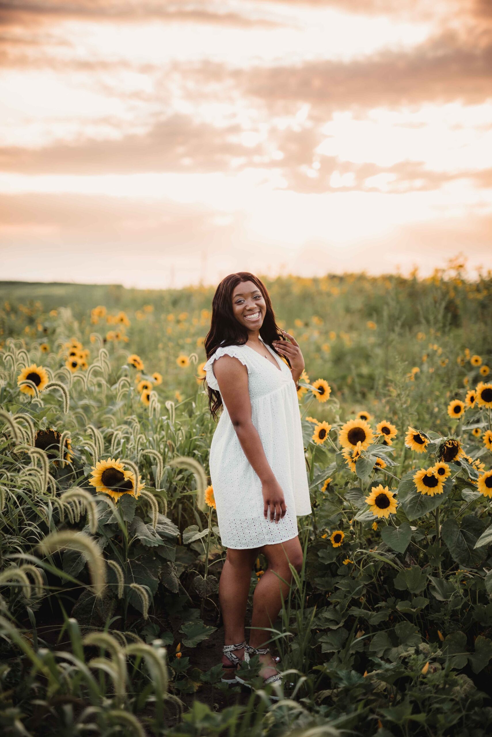 Wea Creek Orchard Sunflowers