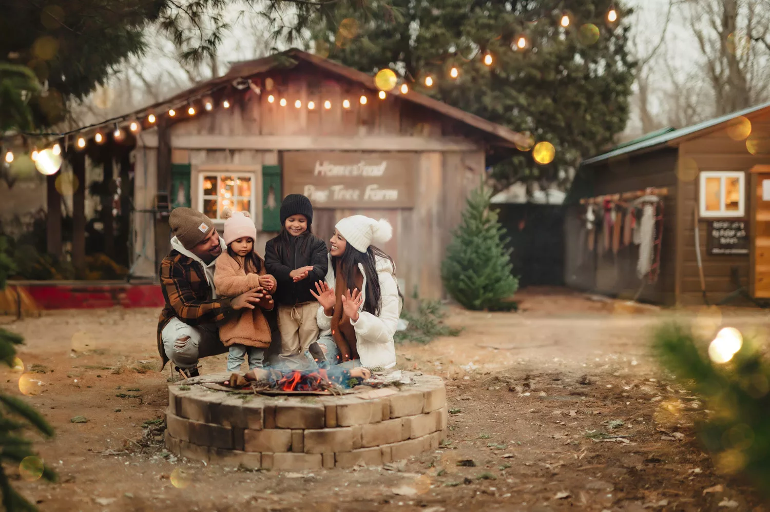 Christmas Tree Farm Session - Kelly McPhail Photography