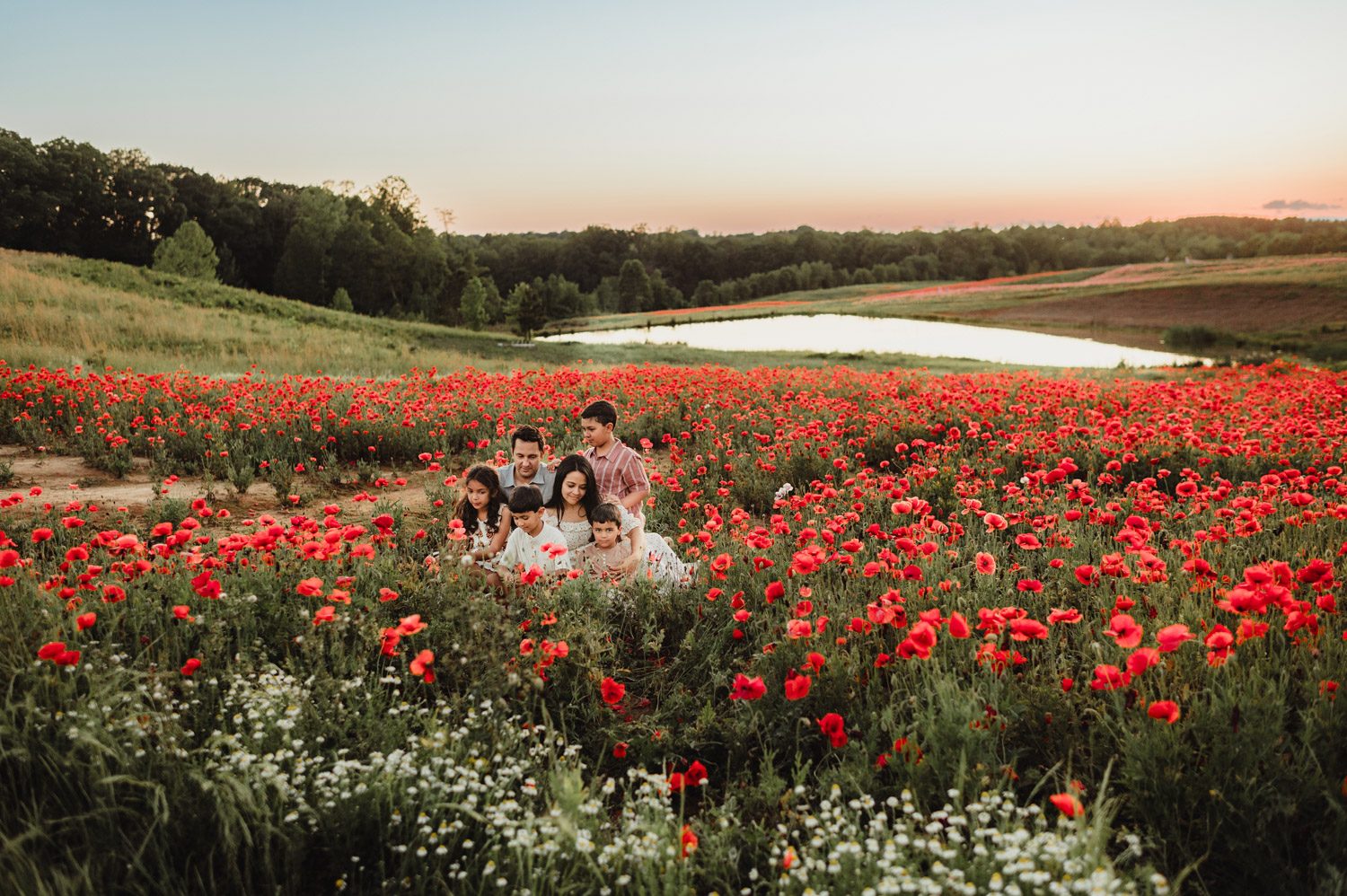Spring Family Photography at Dogwood Farms: Wildflower Sessions in North Carolina-wildflower sessions in North Carolina Spring Family Photography at Dogwood Farms: Wildflower Sessions in North Carolina - Kelly McPhail Photography