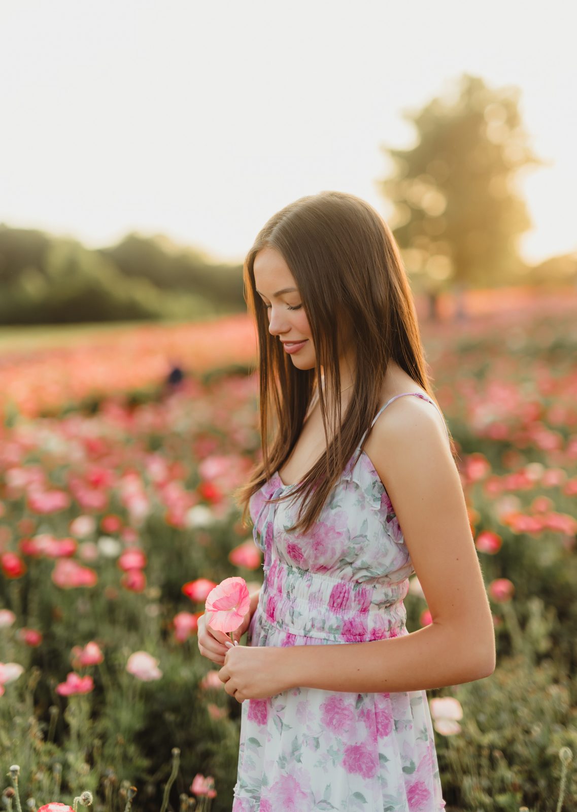 Wildflowers at Golden Hour: Genna’s Senior Session | Greensboro Senior Photographer-Greensboro Senior Photographer 🌼 A Wildflower Field at Golden Hour: Genna’s Senior Session | Greensboro Senior Photographer - Kelly McPhail Photography