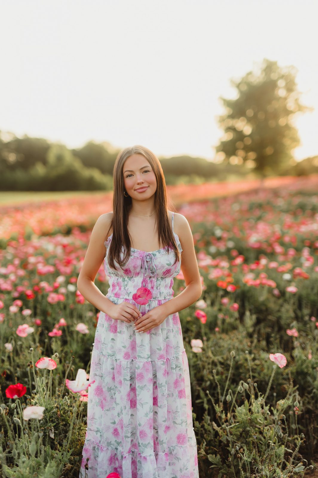 Wildflowers at Golden Hour: Genna’s Senior Session | Greensboro Senior Photographer-Greensboro Senior Photographer 🌼 A Wildflower Field at Golden Hour: Genna’s Senior Session | Greensboro Senior Photographer - Kelly McPhail Photography